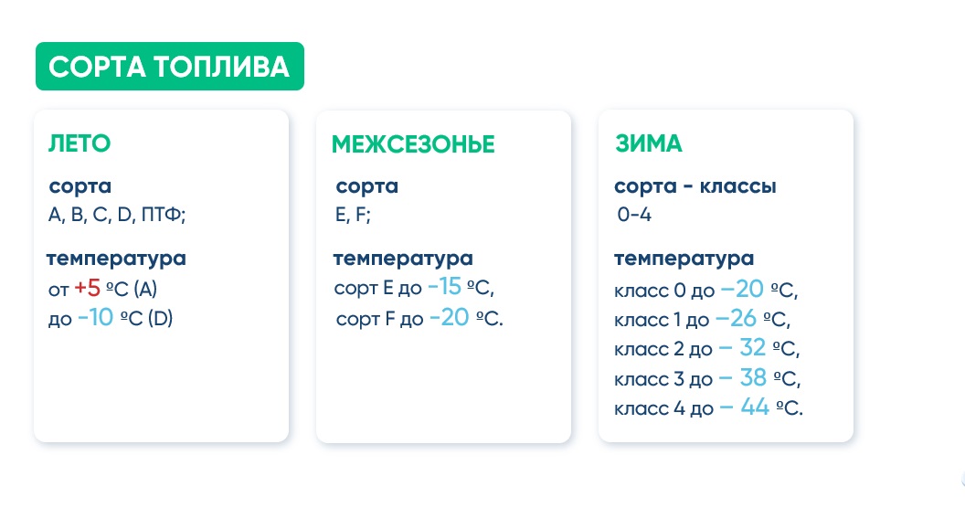 Сорт дт летнего